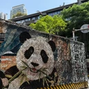 上海植物园 - 上海市旅游 缩略图 4