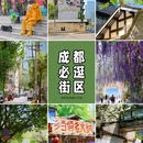 北顺城街 - 成都市旅游 缩略图 1