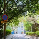 北顺城街 - 成都市旅游 缩略图 7