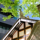 北顺城街 - 成都市旅游 缩略图 9