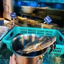天虹购物中心(龙华店) - 深圳市旅游 缩略图 7