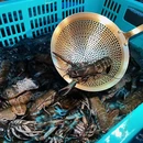 天虹购物中心(龙华店) - 深圳市旅游 缩略图 8