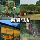 广州番禺海鸥岛 - 广州市旅游 缩略图 5