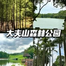 广州番禺海鸥岛 - 广州市旅游 缩略图 2