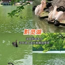 黔灵山公园 - 贵阳市旅游 缩略图 5