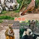 黔灵山公园 - 贵阳市旅游 缩略图 7
