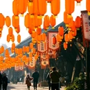 元通古镇旅游景区 - 成都市旅游 缩略图 9