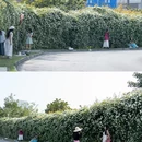 西华大道 - 成都市旅游 缩略图 8