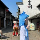 震泽古镇 - 苏州市旅游 缩略图 5