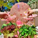 熊猫烫火锅·熊猫主题(万象天地店) - 深圳市旅游 缩略图 8
