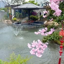 梧桐雅苑·醉美院子餐厅(东西湖店) - 武汉市旅游 缩略图 8