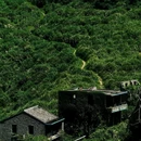 大坑沙村景区 - 台州市旅游 缩略图 7