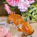九阿鸽·中山乳鸽(永泰店) - 广州市旅游 缩略图 5