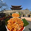 大理古城 - 大理白族自治州旅游 缩略图 9