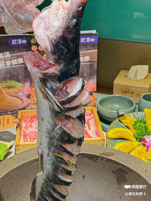 鲜潭蒸汽石锅鱼(坂田万科店) - 深圳市旅游