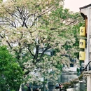 仓桥直街历史街区 - 绍兴市旅游 缩略图 3