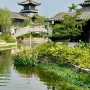 广州市文化馆 - 广州市旅游 缩略图 4