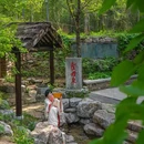尼山孔庙 - 济宁市旅游 缩略图 7