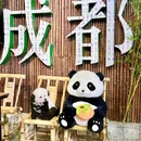 川娃儿熊猫院子火锅(春熙路lFS店) - 成都市旅游 缩略图 8