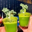 象栗烤肉-活鳗 - 南京市旅游 缩略图 6