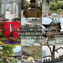 江苏镇江建设集团(正东路店) - 镇江市旅游 缩略图 4