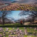 南迦巴瓦峰 - 林芝市旅游 缩略图 1