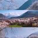 南迦巴瓦峰 - 林芝市旅游 缩略图 7