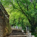 西樵山西门游客服务中心 - 佛山市旅游 缩略图 1