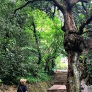 西樵山西门游客服务中心 - 佛山市旅游 缩略图 4