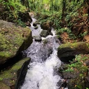 西樵山西门游客服务中心 - 佛山市旅游 缩略图 3