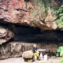 西樵山西门游客服务中心 - 佛山市旅游 缩略图 7