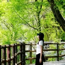 少华山国家森林公园游客服务中心 - 渭南市旅游 缩略图 4