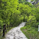 少华山国家森林公园游客服务中心 - 渭南市旅游 缩略图 5
