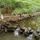 杭州南宋官窑博物馆 - 杭州旅游 缩略图 3