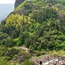 双童山景区 - 丽水市旅游 缩略图 7