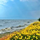 海洪湿地公园 - 昆明市旅游 缩略图 5