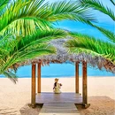 海洪湿地公园 - 昆明市旅游 缩略图 1