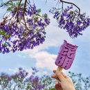海洪湿地公园 - 昆明市旅游 缩略图 8