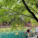 翠屏山景区 - 宜宾市旅游 缩略图 4