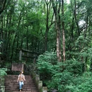 中国武夷山风景名胜区 - 南平市旅游 缩略图 5
