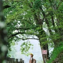 中国武夷山风景名胜区 - 南平市旅游 缩略图 7