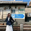 镰仓市 - 日本旅游 缩略图 1