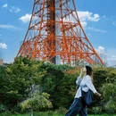 镰仓市 - 日本旅游 缩略图 3