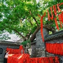 江苏理工学院 - 常州市旅游 缩略图 3