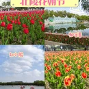 北陵公园 - 沈阳旅游 缩略图 1
