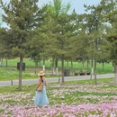 汉长安城国家大遗址公园 - 西安市旅游 缩略图 5