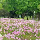 汉长安城国家大遗址公园 - 西安市旅游 缩略图 1