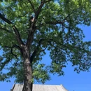 颐和园 - 北京市旅游 缩略图 1