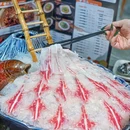 味海图·猪肚鸡·脆皖鱼·火锅(石岩店) - 深圳市旅游 缩略图 6