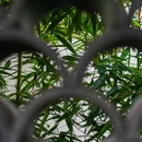 杭州西湖柳莺里酒店 - 杭州市旅游 缩略图 6